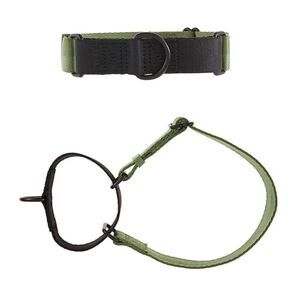 Top Paw No-Slip Martingale Dog Training Collar Army Green & Black TopPaw Puppy